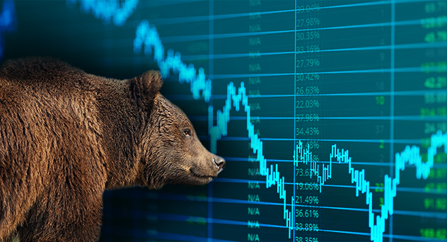 The 2020 bear market—an exogenous shock for the history books