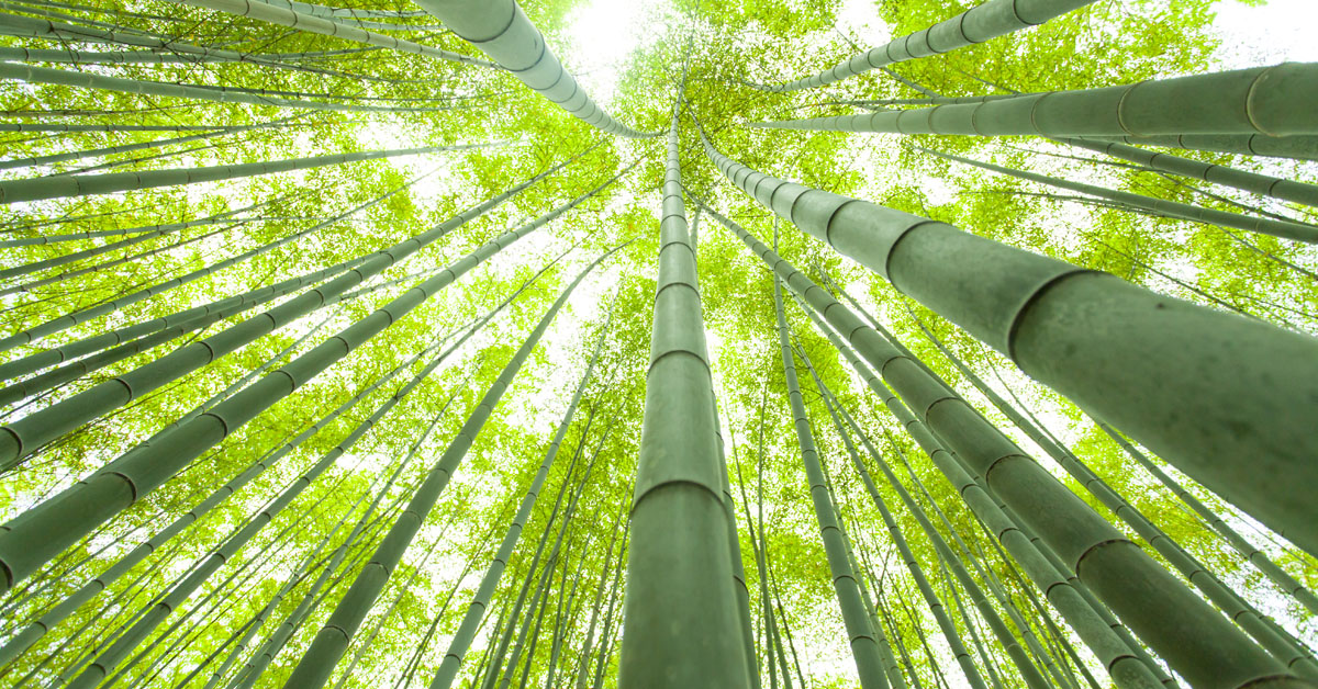 Multi-asset income: pursuing higher yields in a low yield, higher-inflationary environment