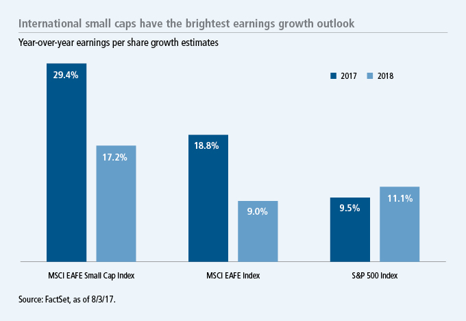 International small caps have the brightest earnings growth outlook International small caps have the brightest earnings growth outlook