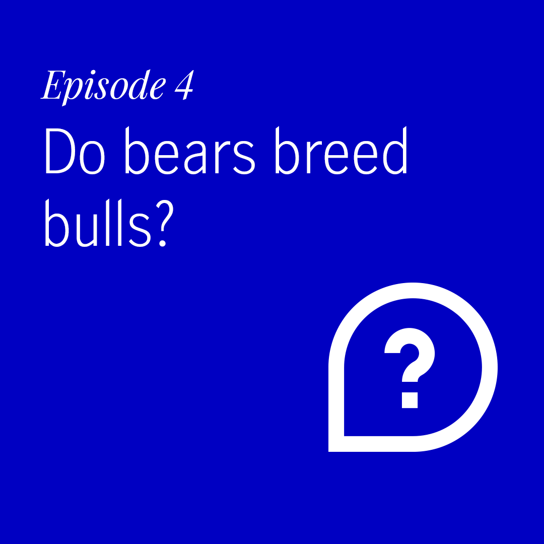 Podcast episode 4