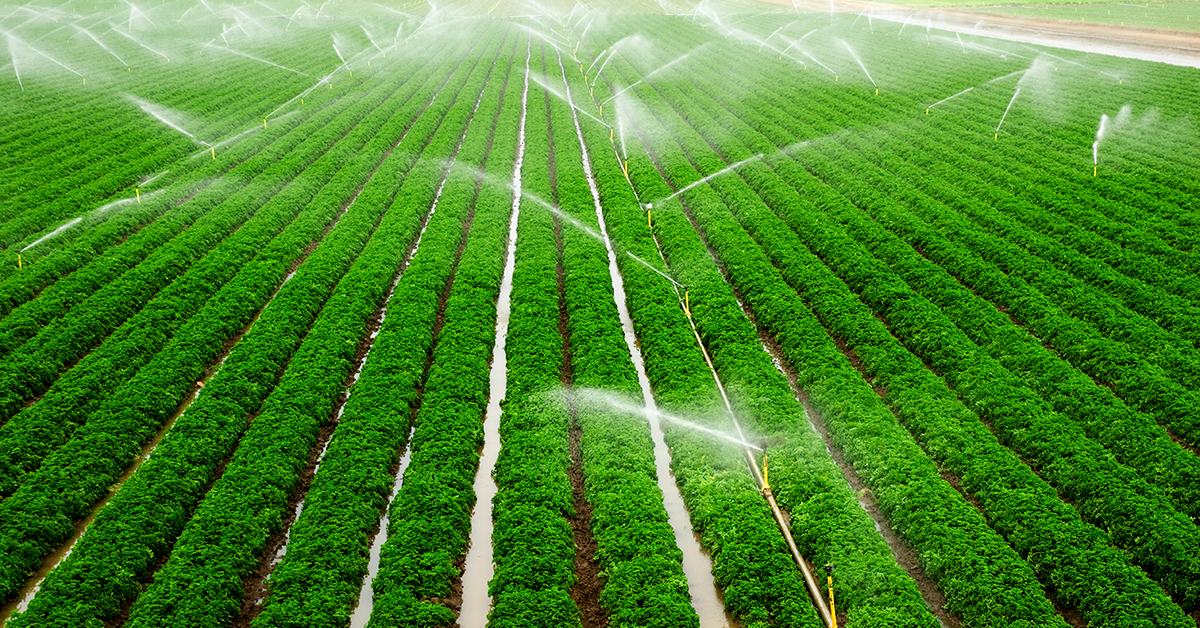 Regenerative agriculture: definition, implementation, and impact