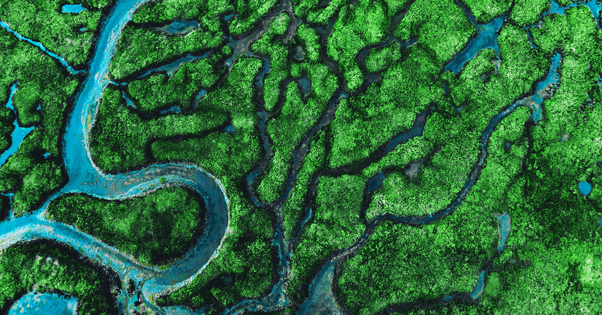 A closeup view of an abstract green leaf pattern showcasing natural textures, ideal for modern design backgrounds.