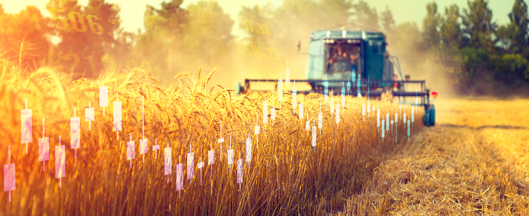 A second look at short duration bond funds: are investors missing the forest for the trees?
