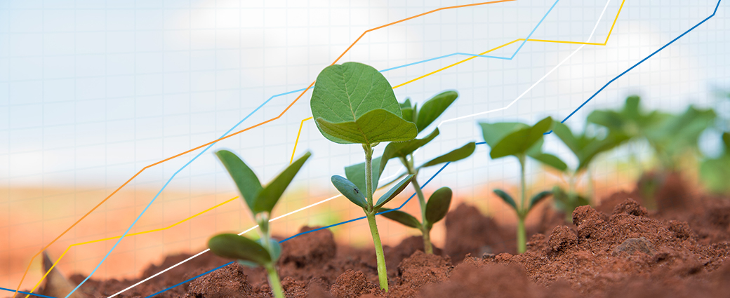 Understanding the performance of small-cap stocks