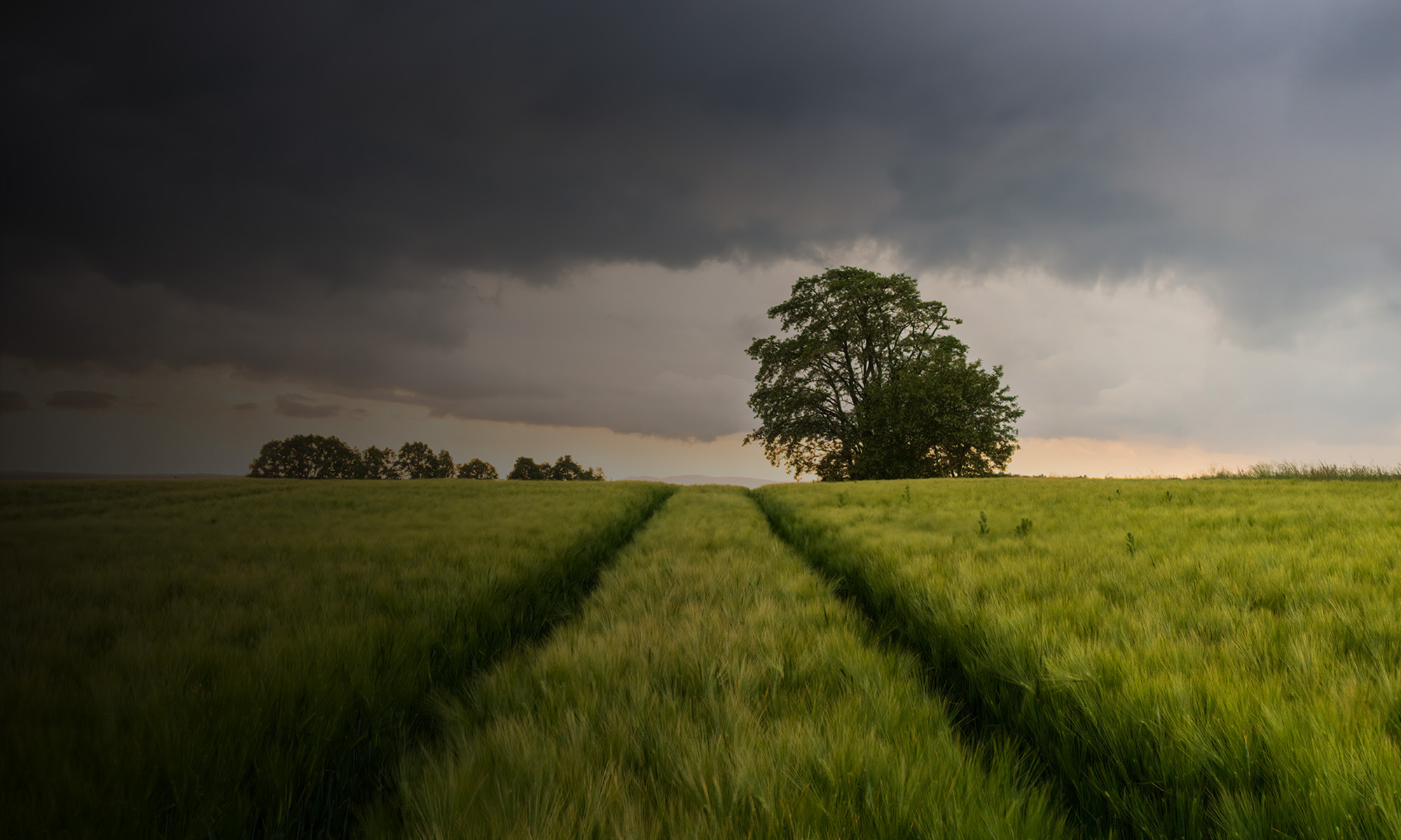 Global economic outlook: storm clouds gather