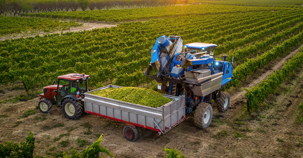 The 2022 bear market’s silver lining: tax-loss harvesting opportunities