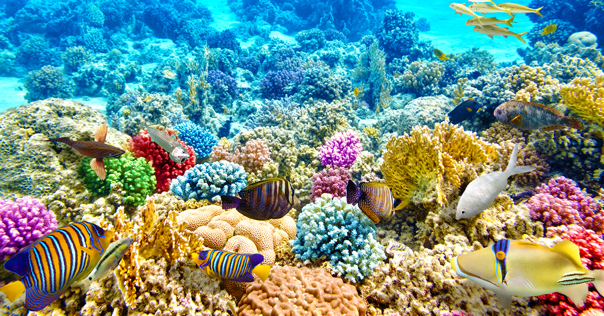 Why COP15 marks a turning point for environmental investing