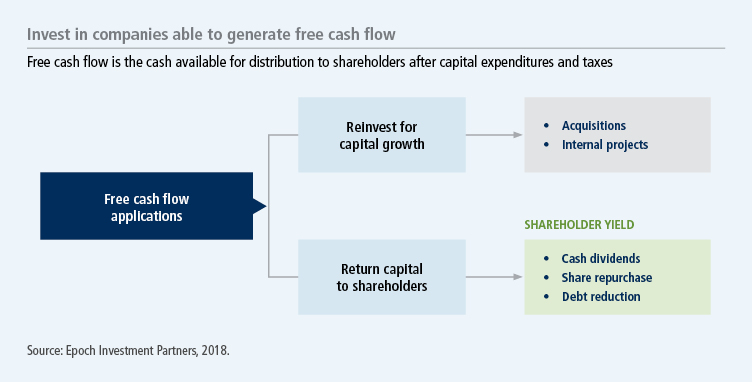 Growing free cash flow: the key to sustainable equity shareholder yield