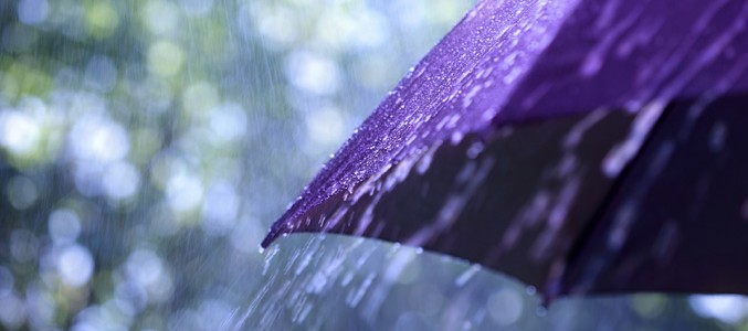In troubled times for equities, quality is critical