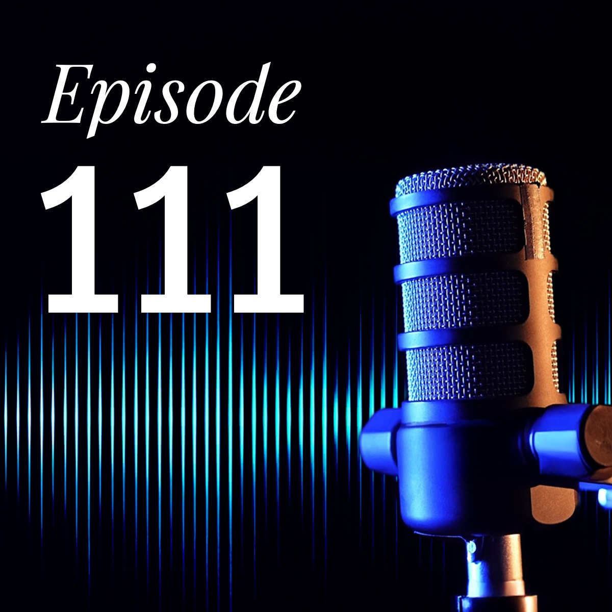 Logo image for the Portfolio Intelligence Podcast series with John Bryson. This is episode 111. 