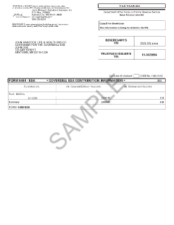 Sample Form 5498-ESA 