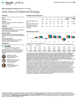 Balanced Strategy investor fact sheet