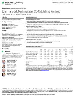 John Hancock Multimanager 2045 Lifetime Portfolio investment professional fact sheet