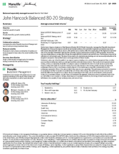 Balanced 80/20 Strategy investor fact sheet