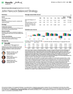 Balanced Strategy investor fact sheet