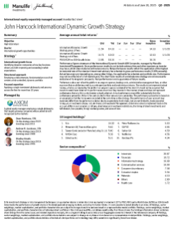 International Dynamic Growth Strategy investor fact sheet