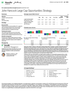 Large Cap Opportunities Strategy investor fact sheet