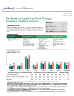 Fundamental Large Cap Core Strategy investment professional fact sheet