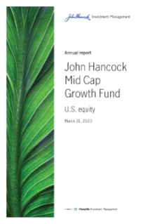 Mid Cap Growth Fund annual report