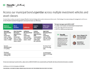 Municipal bond team capabilities flyer